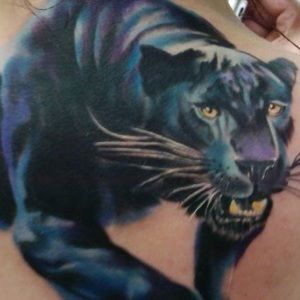 Meet your Posher, Aaron